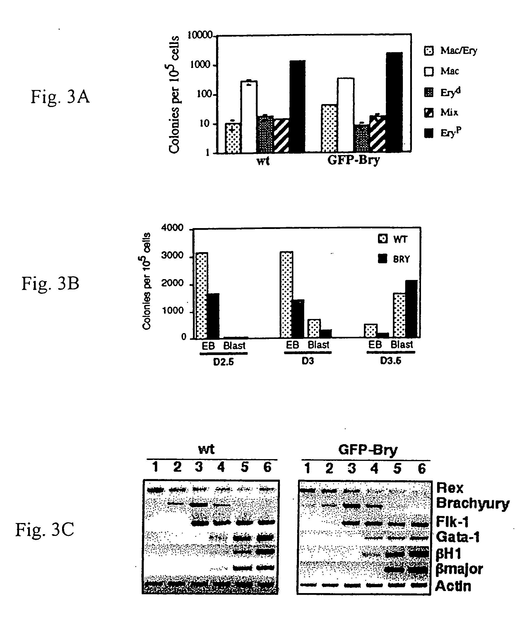 Mesoderm and definitive endoderm cell populations