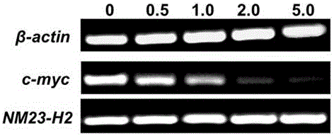 7-fluoro-substituted Isaindigotone derivatives and preparation method thereof, and application of 7-fluoro-substituted Isaindigotone derivatives in preparing anticancer drugs