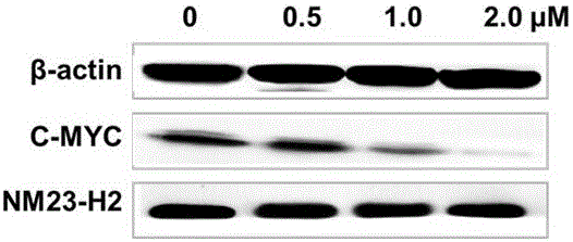 7-fluoro-substituted Isaindigotone derivatives and preparation method thereof, and application of 7-fluoro-substituted Isaindigotone derivatives in preparing anticancer drugs