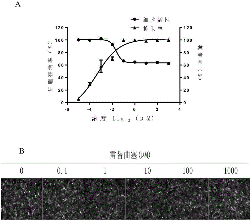 Application of raltitrexed or pharmaceutically-acceptable raltitrexed salt to preparation of drugs for treating or preventing herpesvirus infection