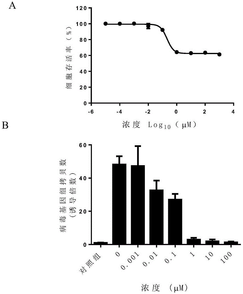 Application of raltitrexed or pharmaceutically-acceptable raltitrexed salt to preparation of drugs for treating or preventing herpesvirus infection