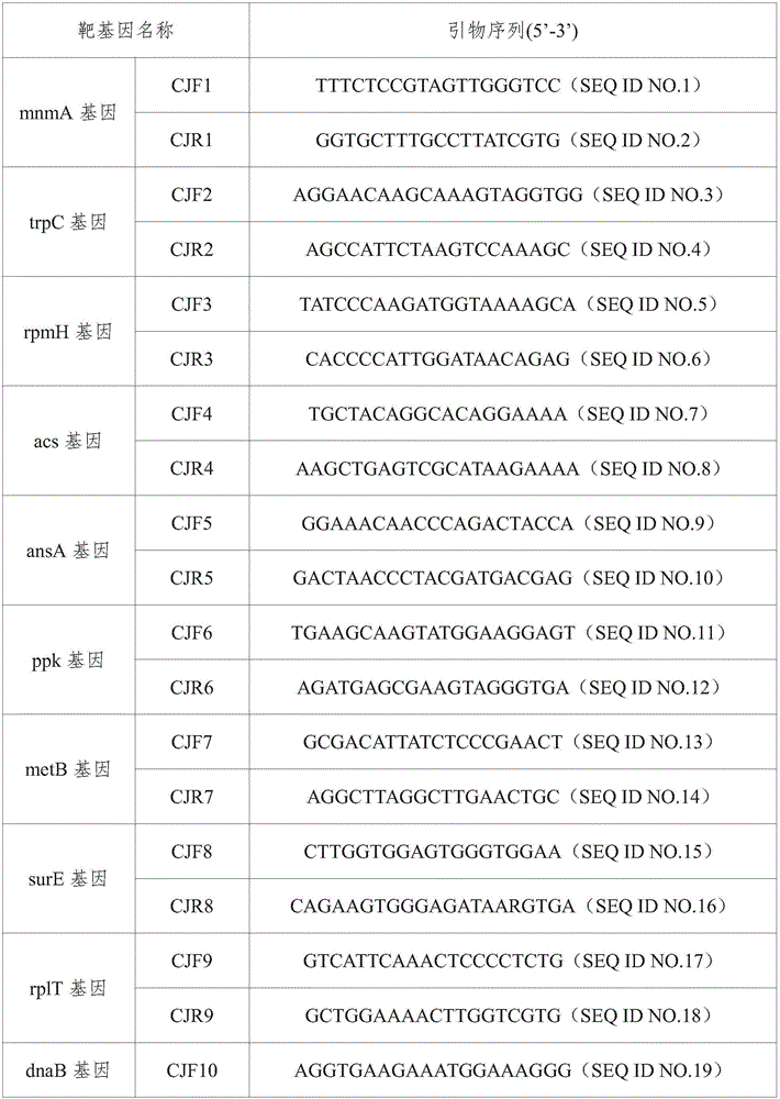 Primer and method for fast typing campylobacter jejuni