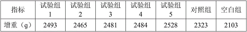 Traditional Chinese medicine microecological preparation for improving immunity of chicks, and preparation method and usage of traditional Chinese medicine microecological preparation