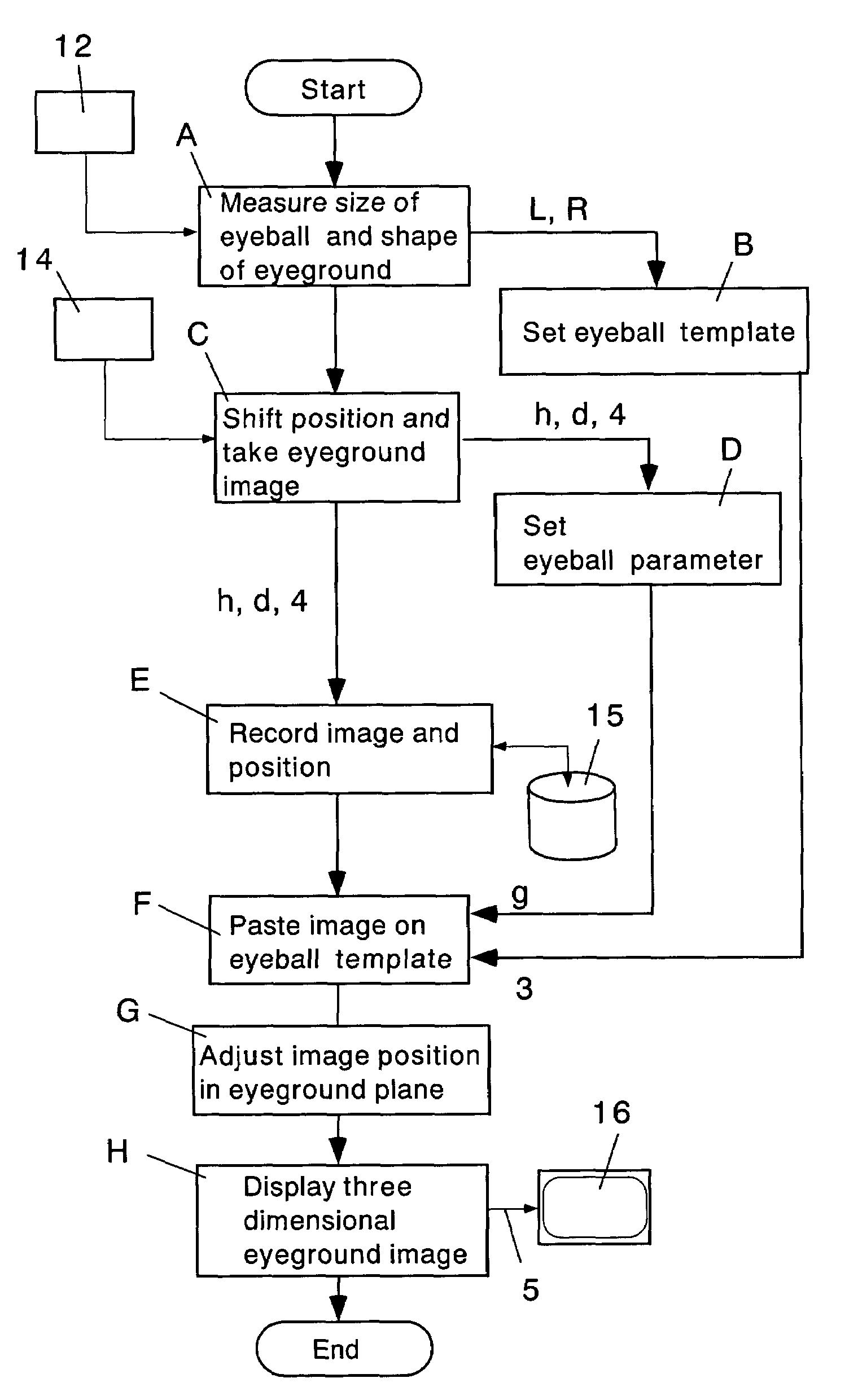 Method and apparatus for three dimensionally displaying eyeground and measuring coordinates thereof