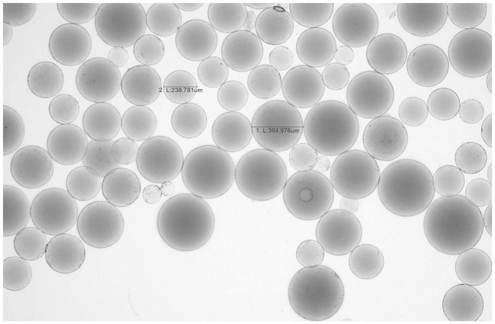 X-ray developable molecule, embolism microsphere and preparation method of X-ray developable molecule