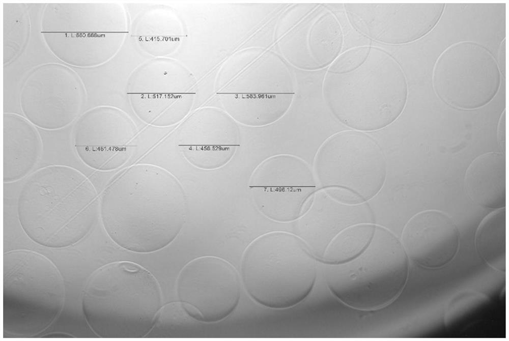 X-ray developable molecule, embolism microsphere and preparation method of X-ray developable molecule