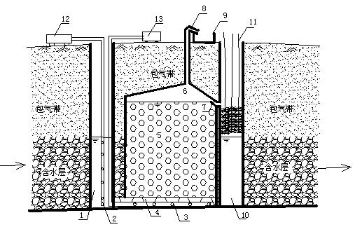 In-situ cadmium removal method for underground water