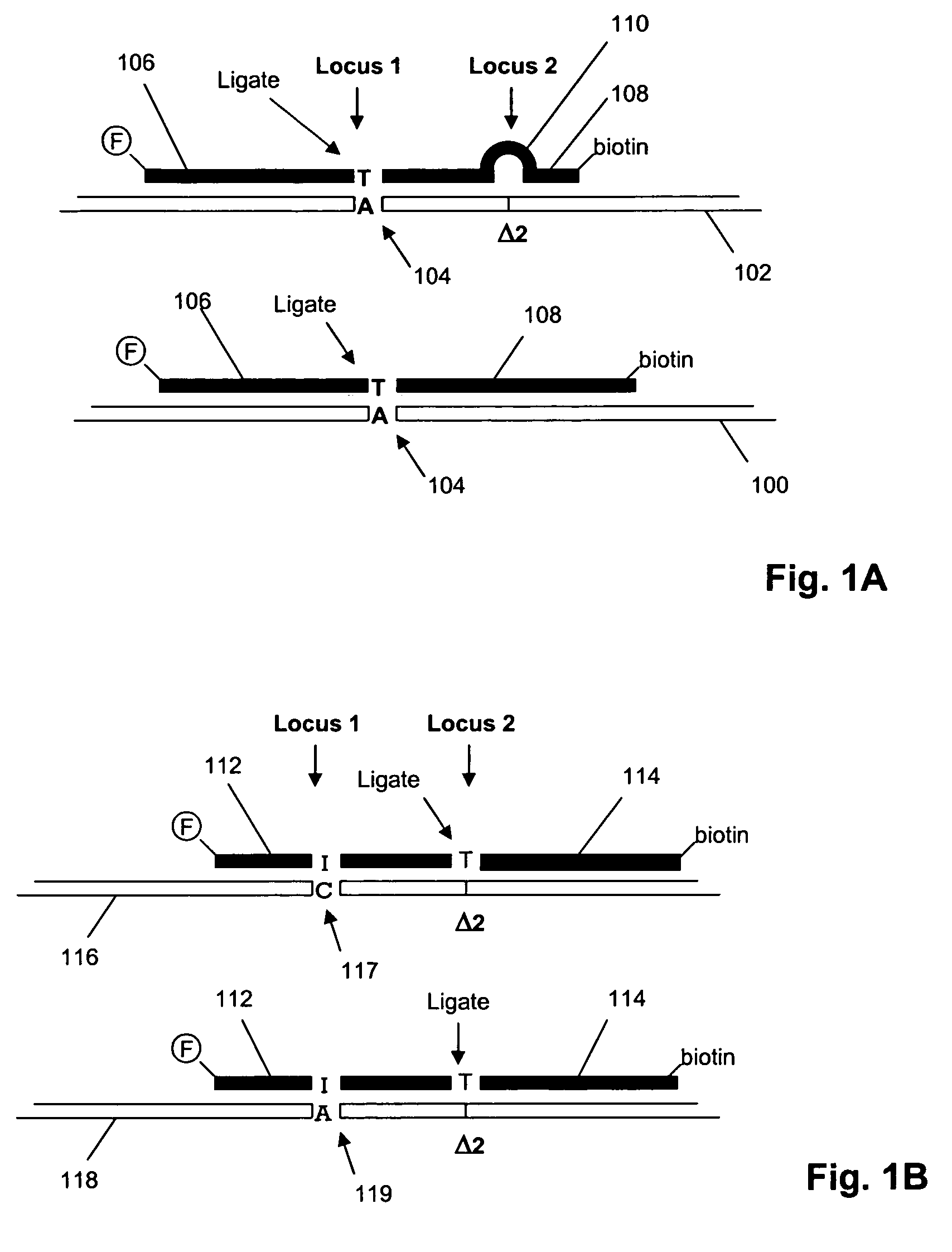 Method and kits for multiplex hybridization assays