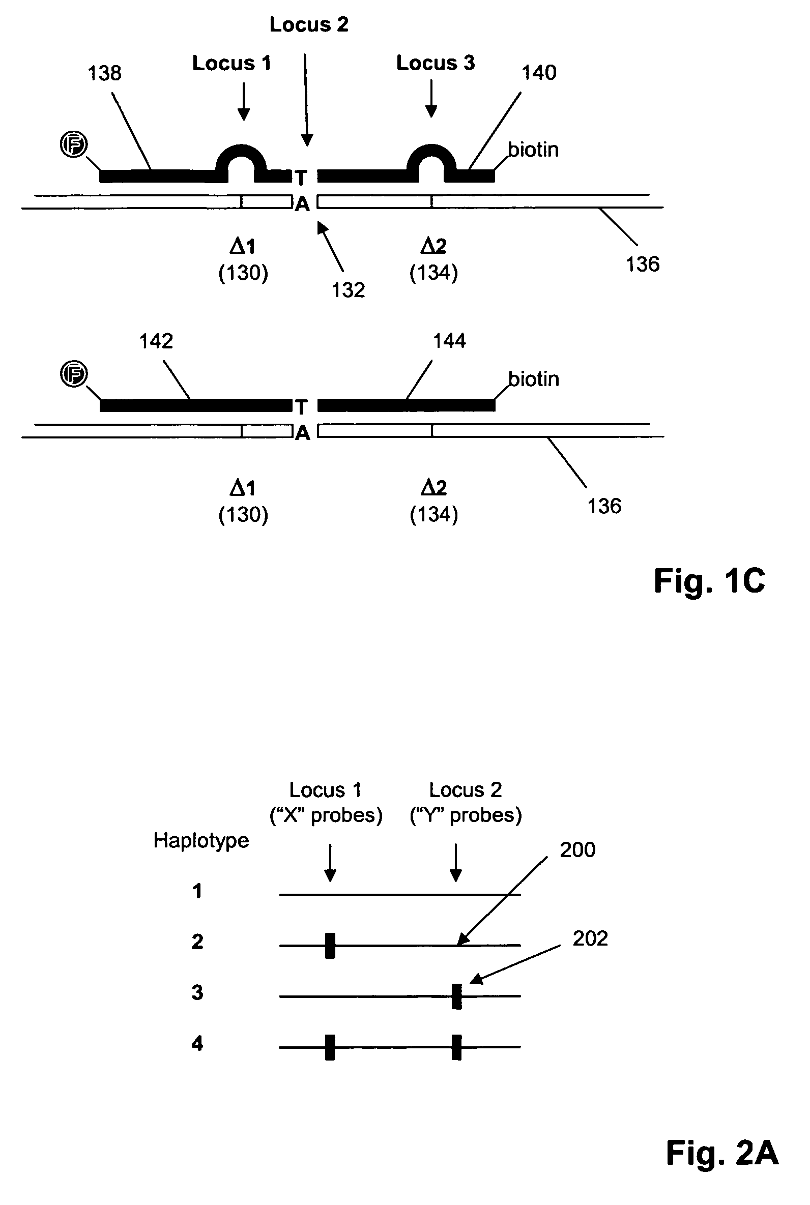 Method and kits for multiplex hybridization assays