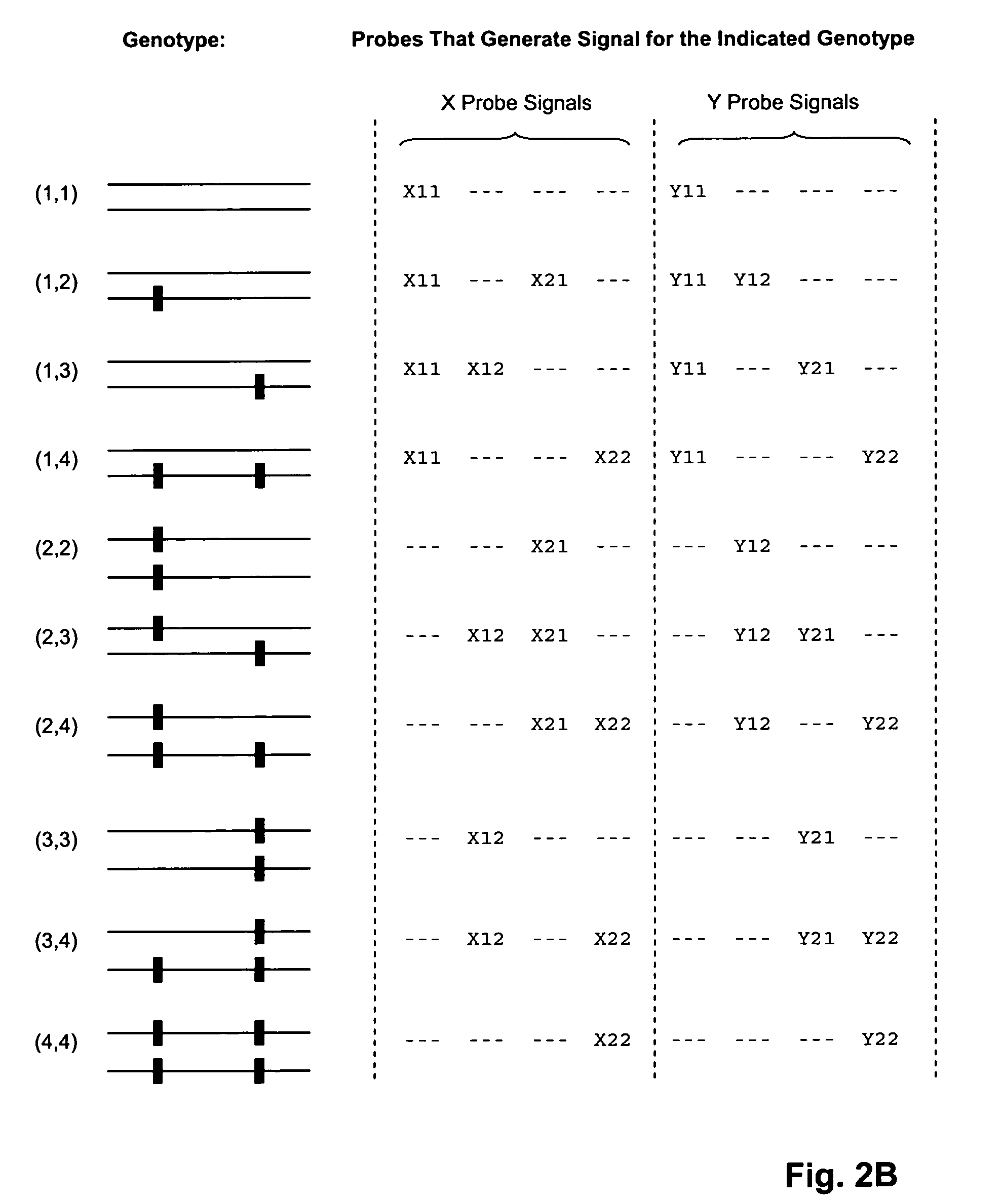 Method and kits for multiplex hybridization assays