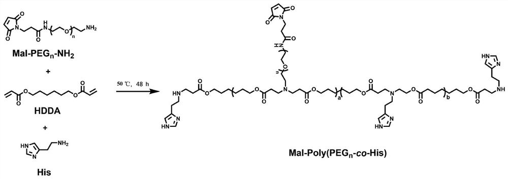 Antibody synthetic bacteria-nano stimulant heterozygote system and application thereof