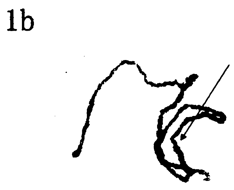 Cotton pachytene chromosome fluorescence in-situ hybridization method