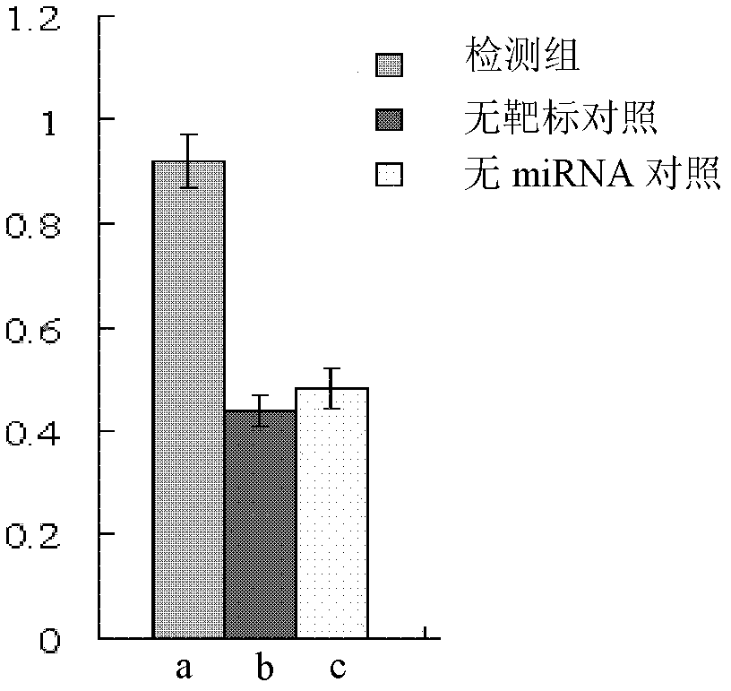 Preparation method and application for dual-fluorescence reporting system with micro-RNA (ribonucleic acid) function