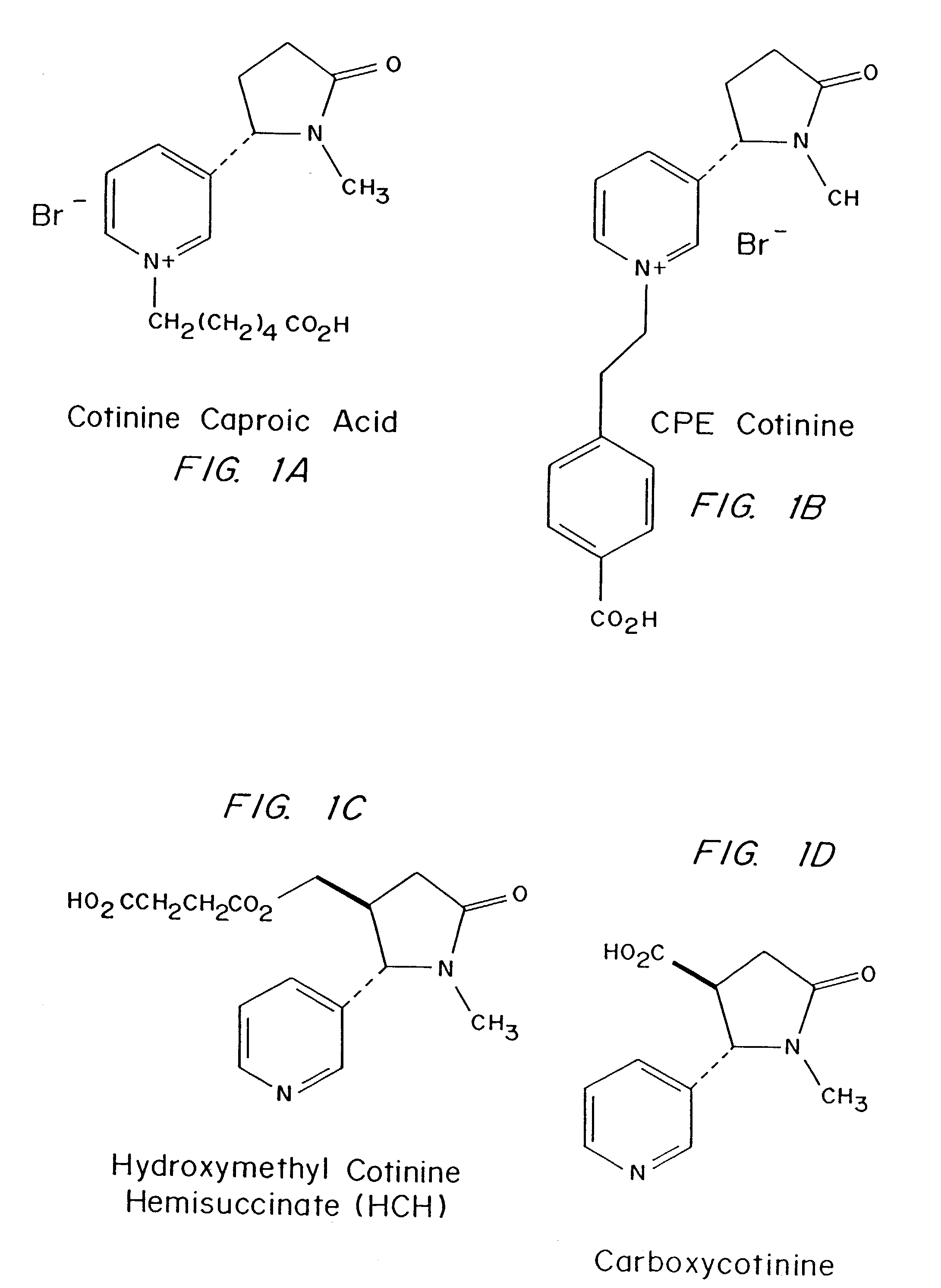 Methods to improve immunogenicity of antigens and specificity of antibodies