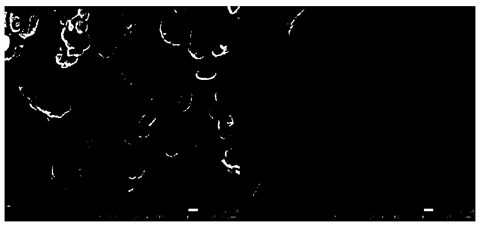 Preparation method of composite spinel/titanium dioxide green ceramic pigment