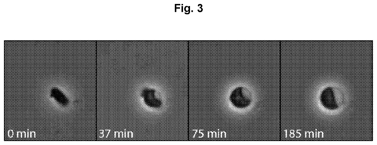 Expression of proteins in gram-negative bacteria wherein the ratio of periplasmic volume to cytoplasmic volume is between 0.5:1 and 10:1