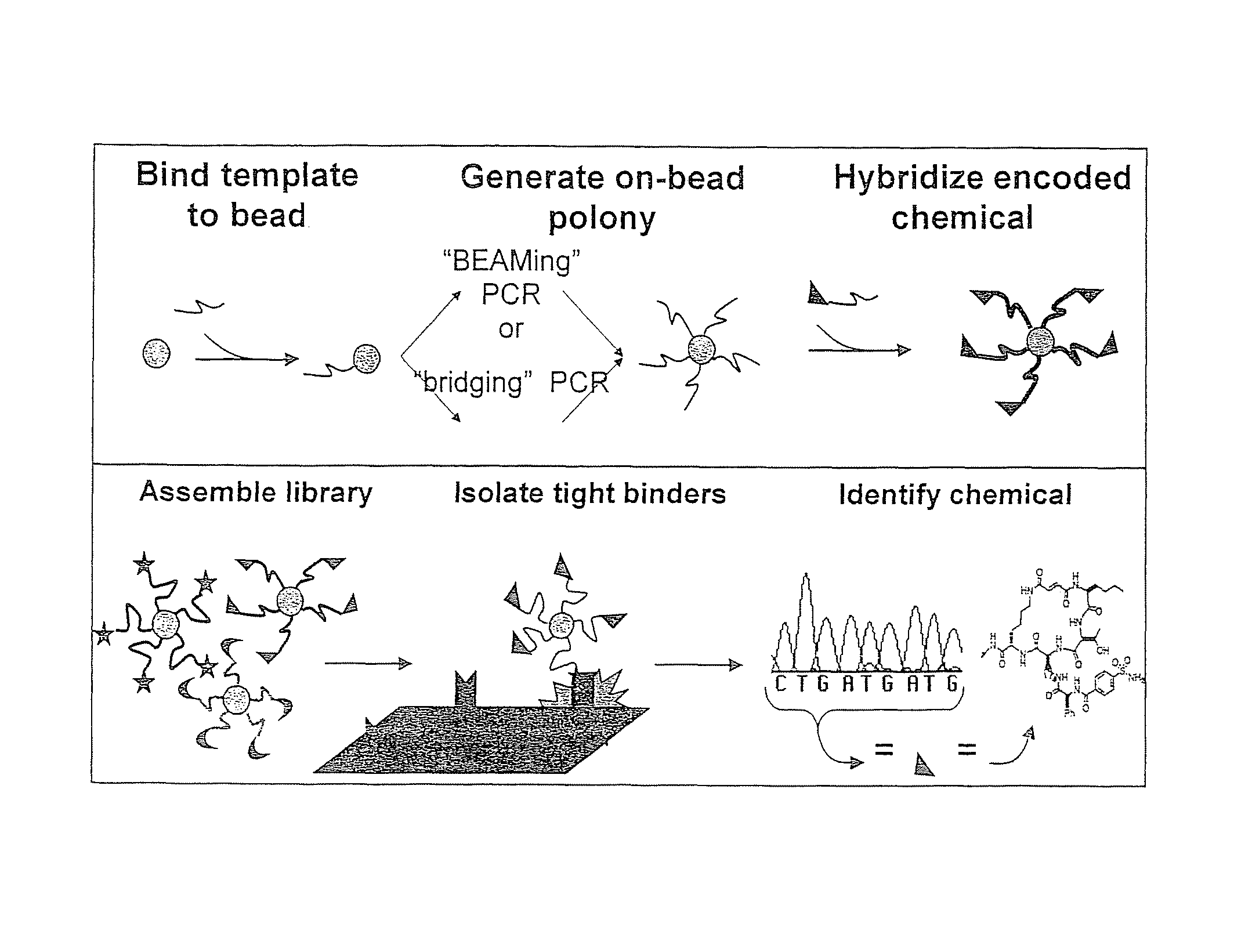 Compositions, methods, and kits for identifying candidate molecules from encoded chemical libraries