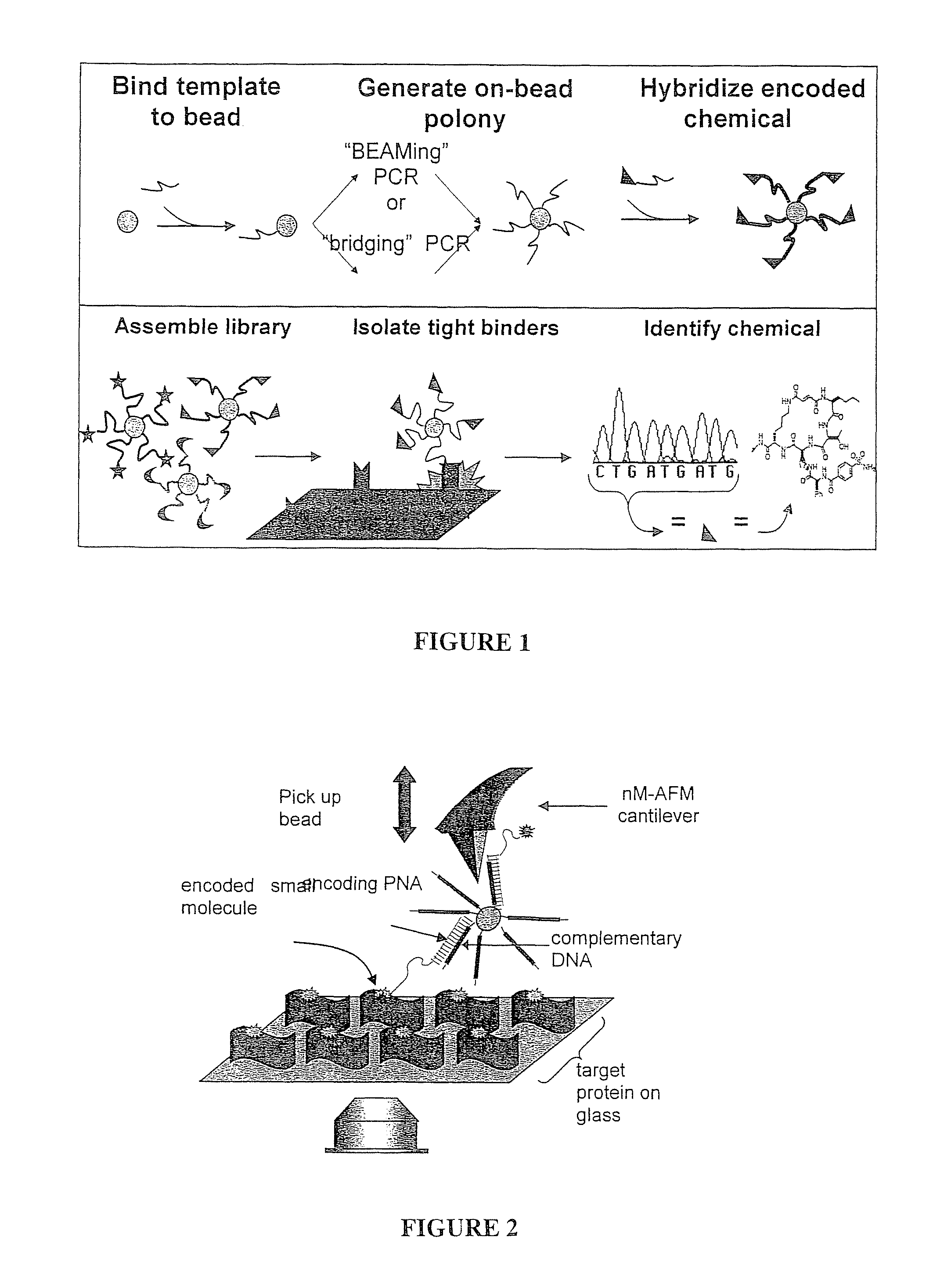 Compositions, methods, and kits for identifying candidate molecules from encoded chemical libraries