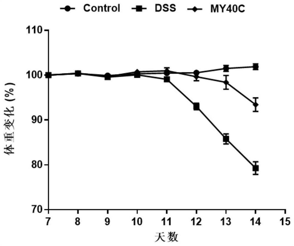 Bifidobacterium pseudocatenulatum capable of relieving colitis and application thereof