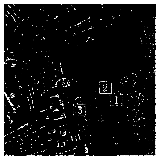 Coherent Speckle Suppression Method for Non-local Mean Radar Image Based on Ratio Distance