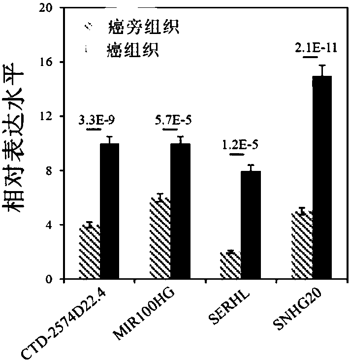 Application of lncRNA in diagnosis and prognostic prediction of liver cancer