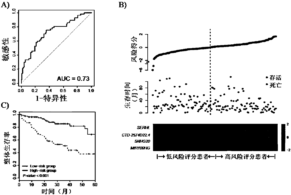 Application of lncRNA in diagnosis and prognostic prediction of liver cancer