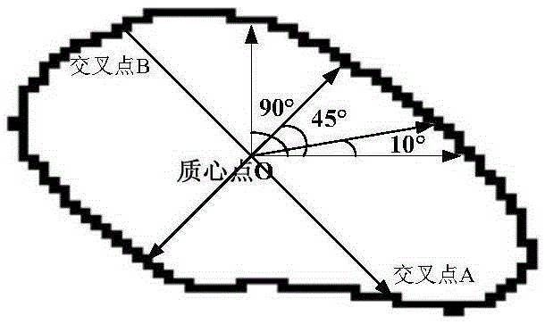 Detection method and system of chalky rice