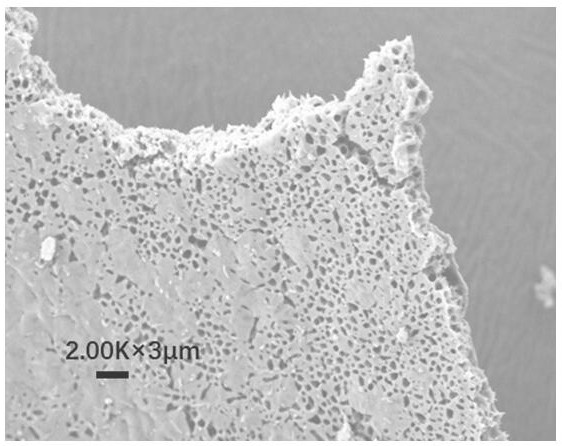 Preparation method and application of nylon 65 material with porous structure