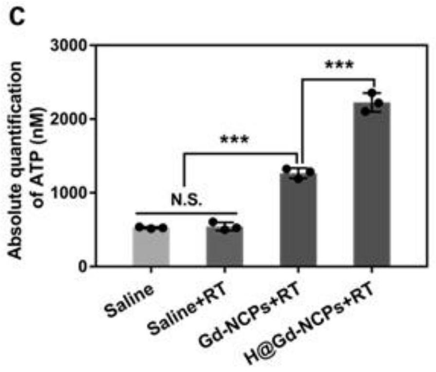 Application of nanoscale coordination polymer Hemin (at) Gd-NCPs