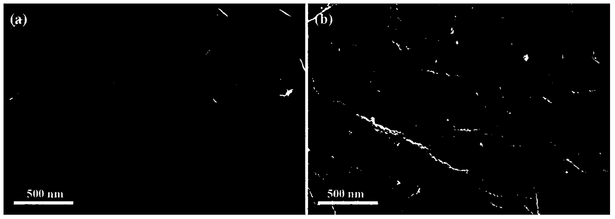 A kind of nano palladium immobilized filter paper and its preparation and application