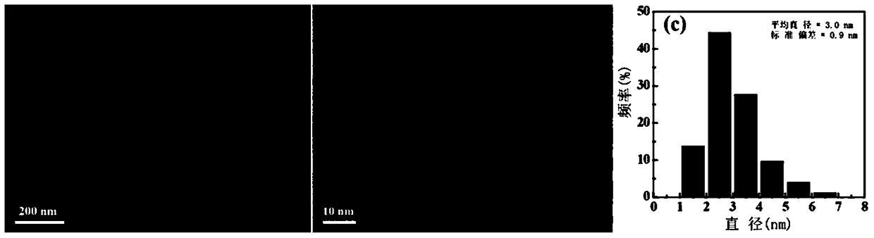 A kind of nano palladium immobilized filter paper and its preparation and application