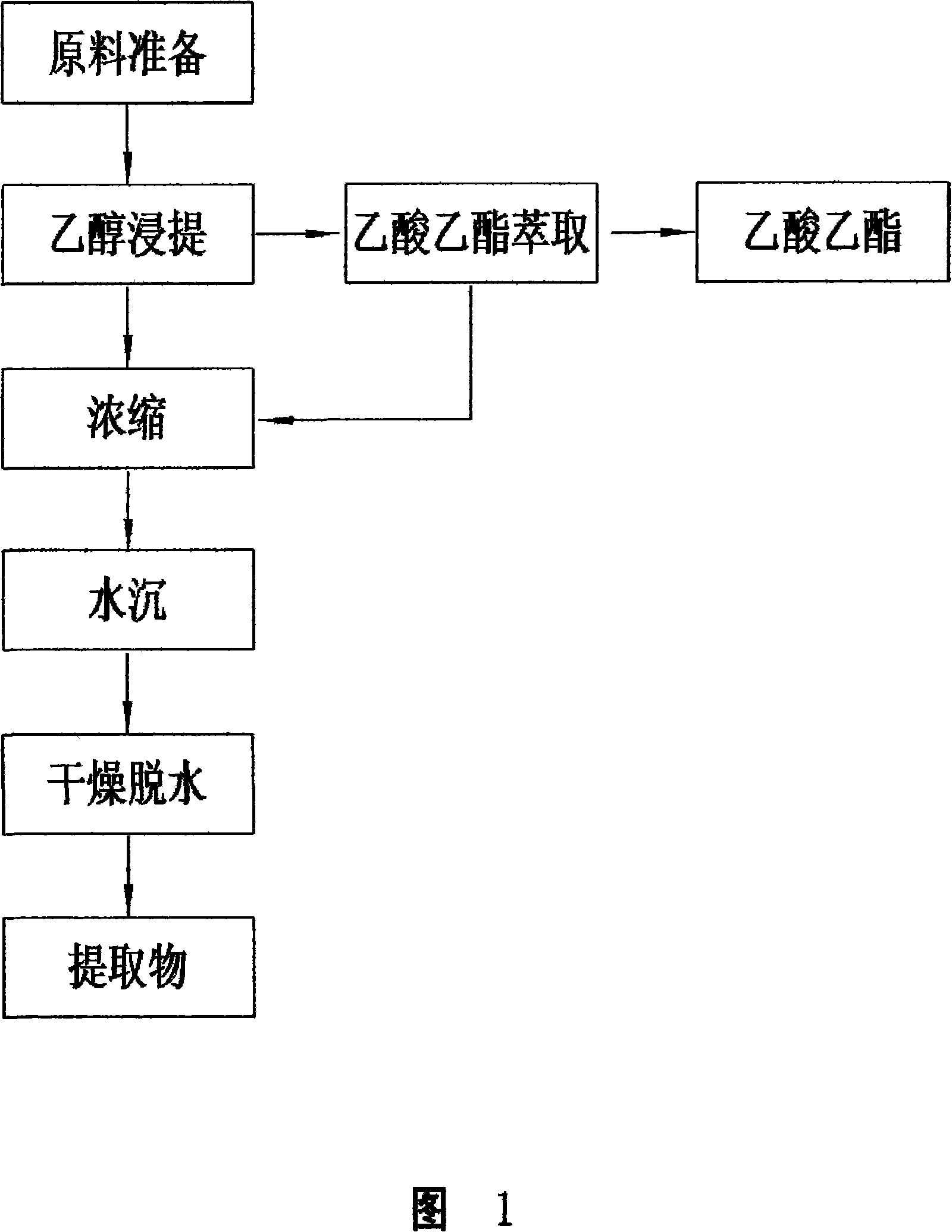 Composition extracted from tubiflorae cistanche salsa, use thereof and method of extracting the same