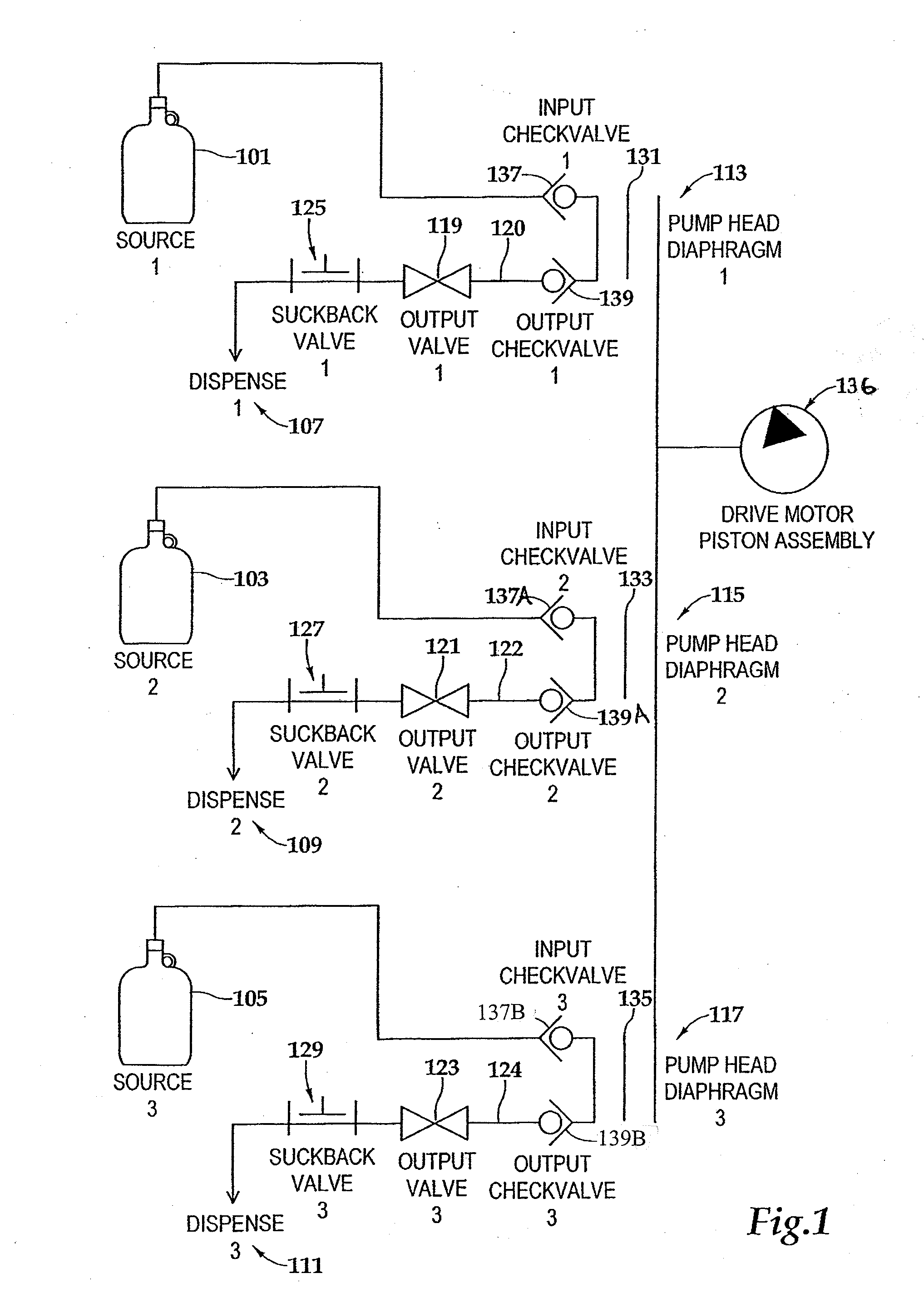 Precision pump with multiple heads