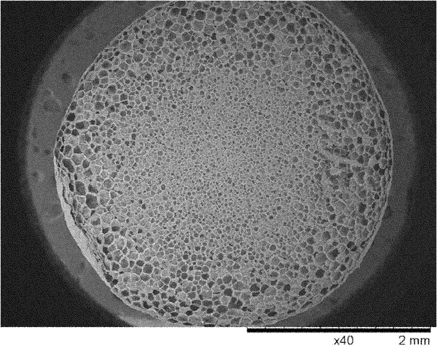 Preparation method of biodegradable polymer foamed particles