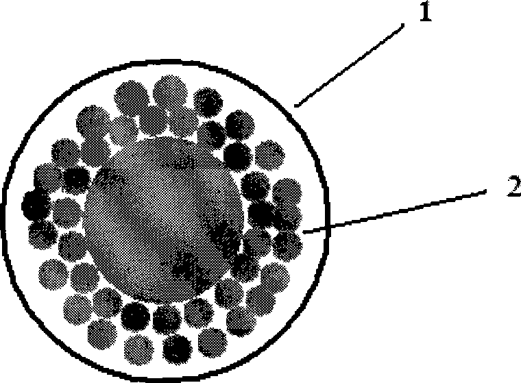 Fluorescent nano-particle with composite silica shell structure and preparation thereof