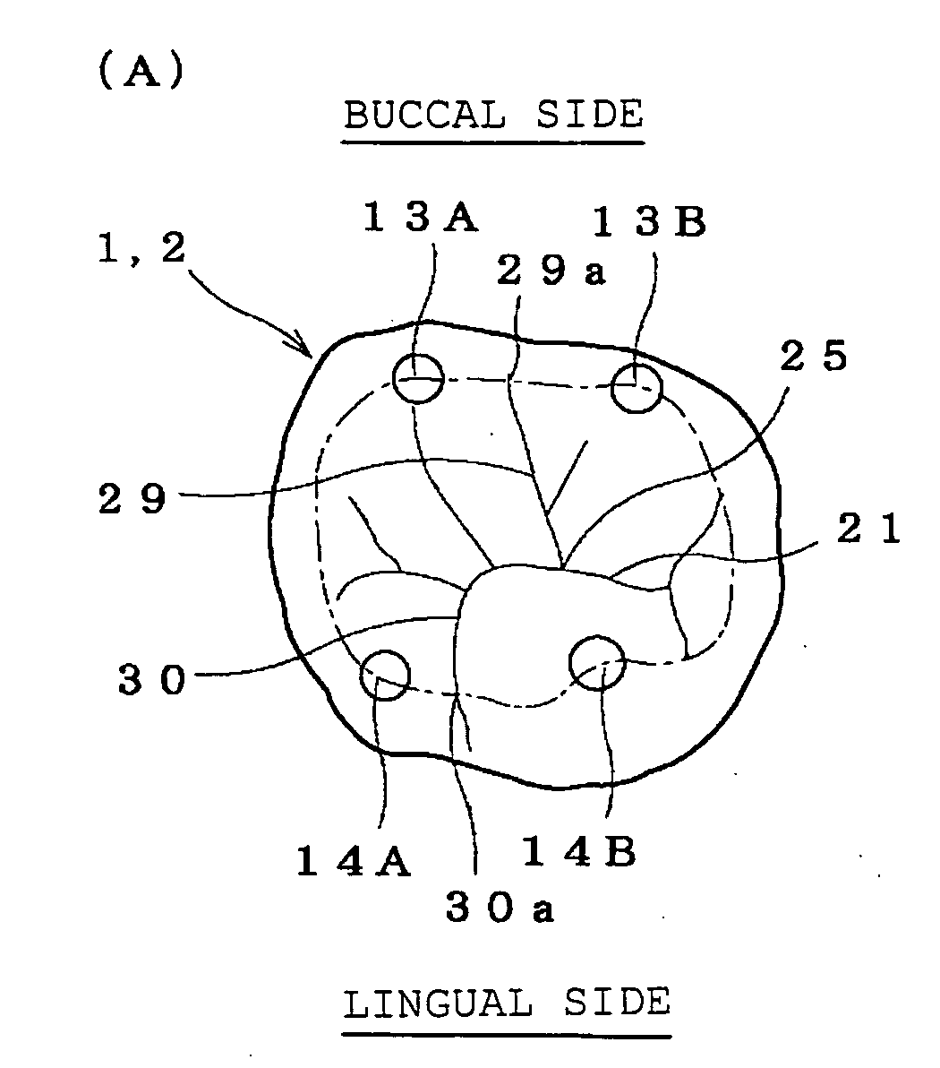 Artificial teeth