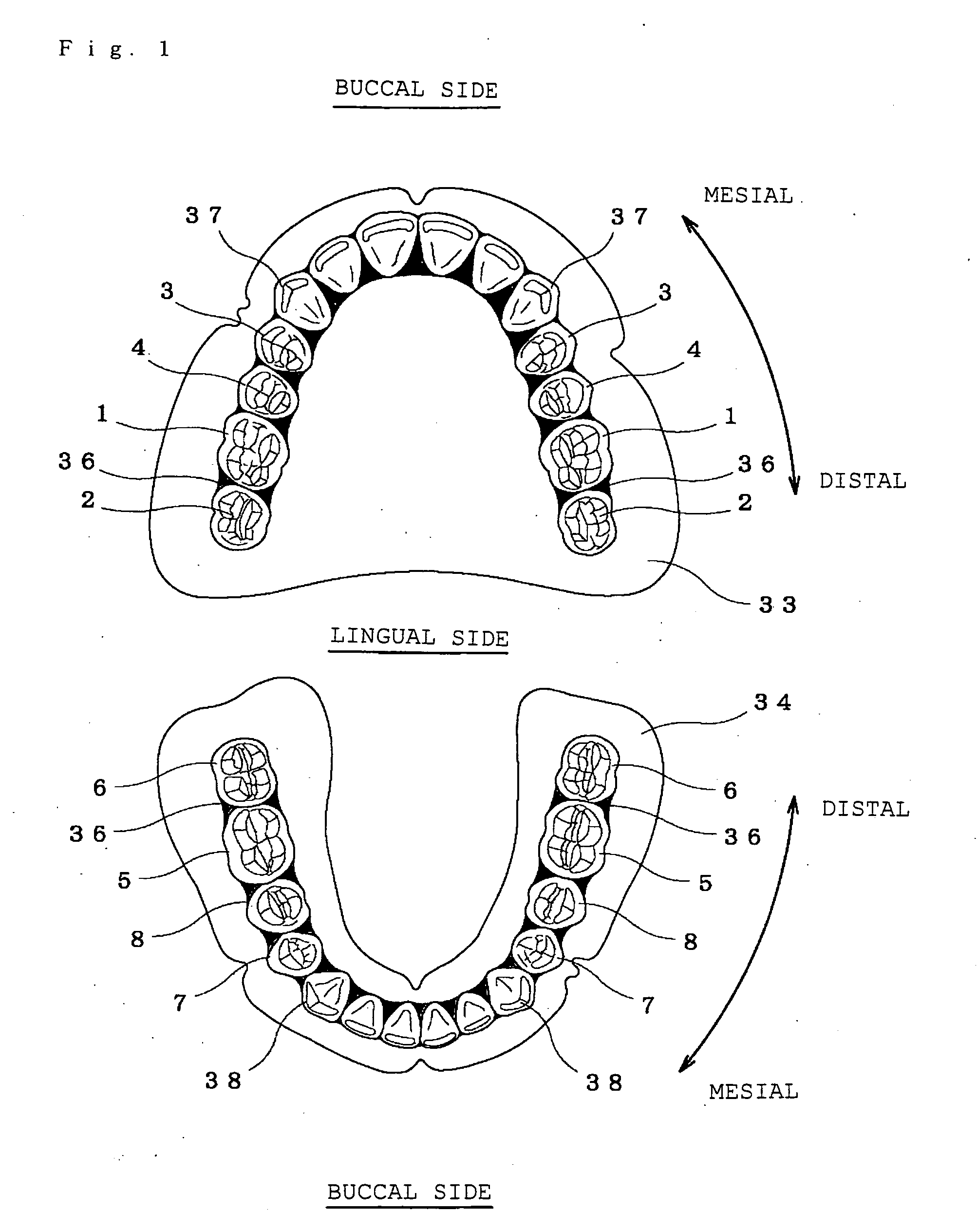 Artificial teeth