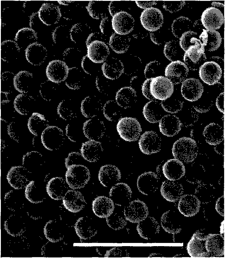 Method for preparing hollow mesoporous lamella spherical silica material