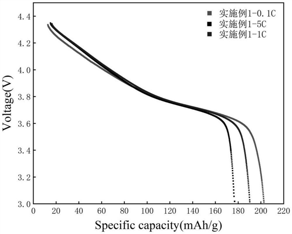 Cobalt-free high-nickel ternary gradient lithium ion battery positive electrode material and preparation method thereof