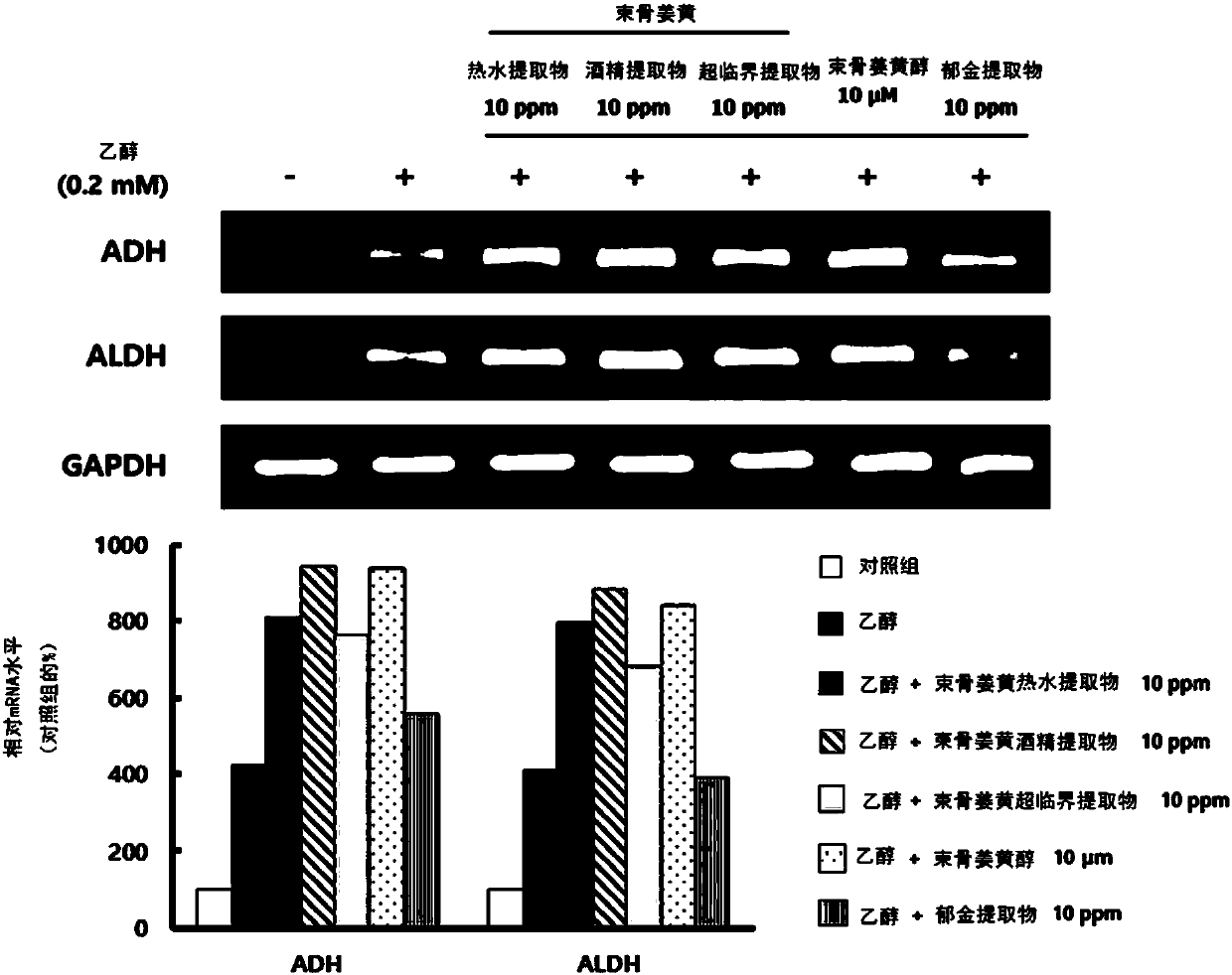 Hangover digestion composition containing curcuma xanthorrhiza extract