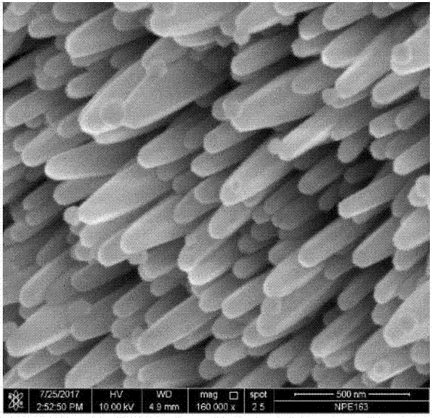 Preparation method and application for efficient and stable foam nickel base photocatalytic material