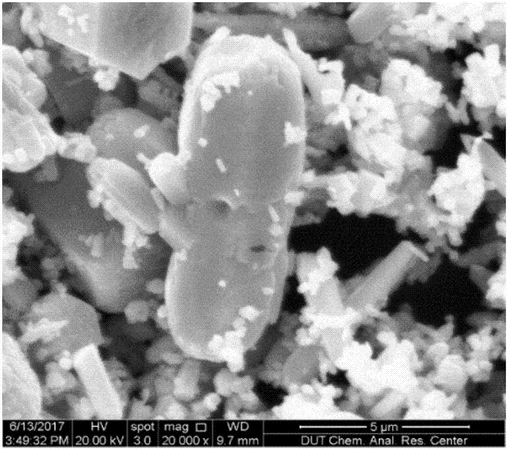 Preparation method and application for efficient and stable foam nickel base photocatalytic material