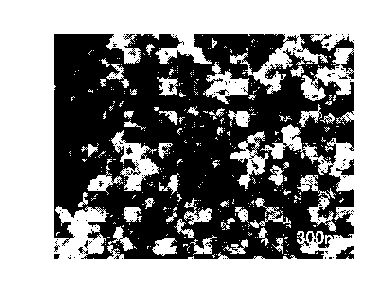 Method for preparing carbon nanohorn