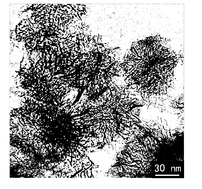 Method for preparing carbon nanohorn