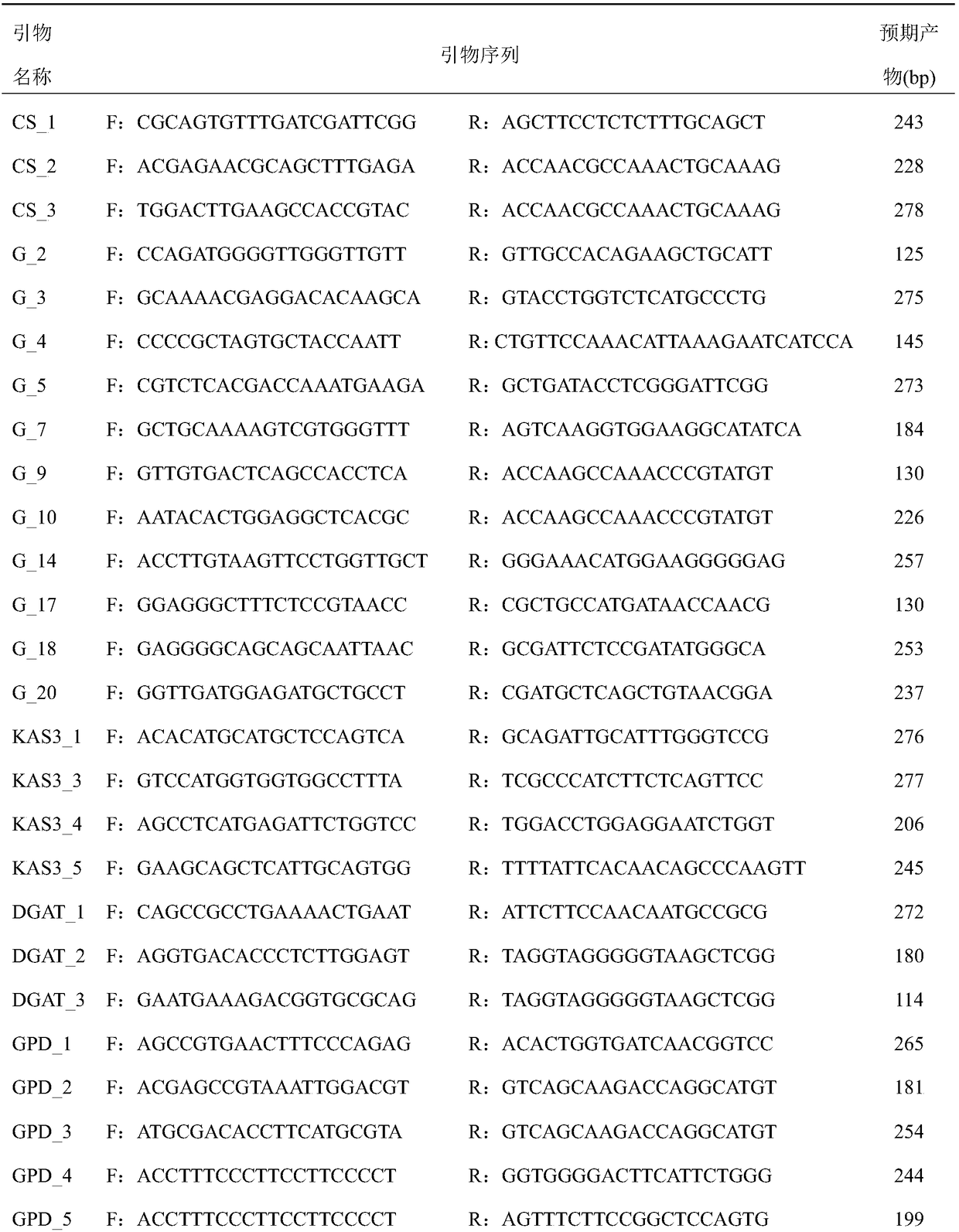 Screening method and application of target gene SSR molecular markers of acanthopanax senticosus