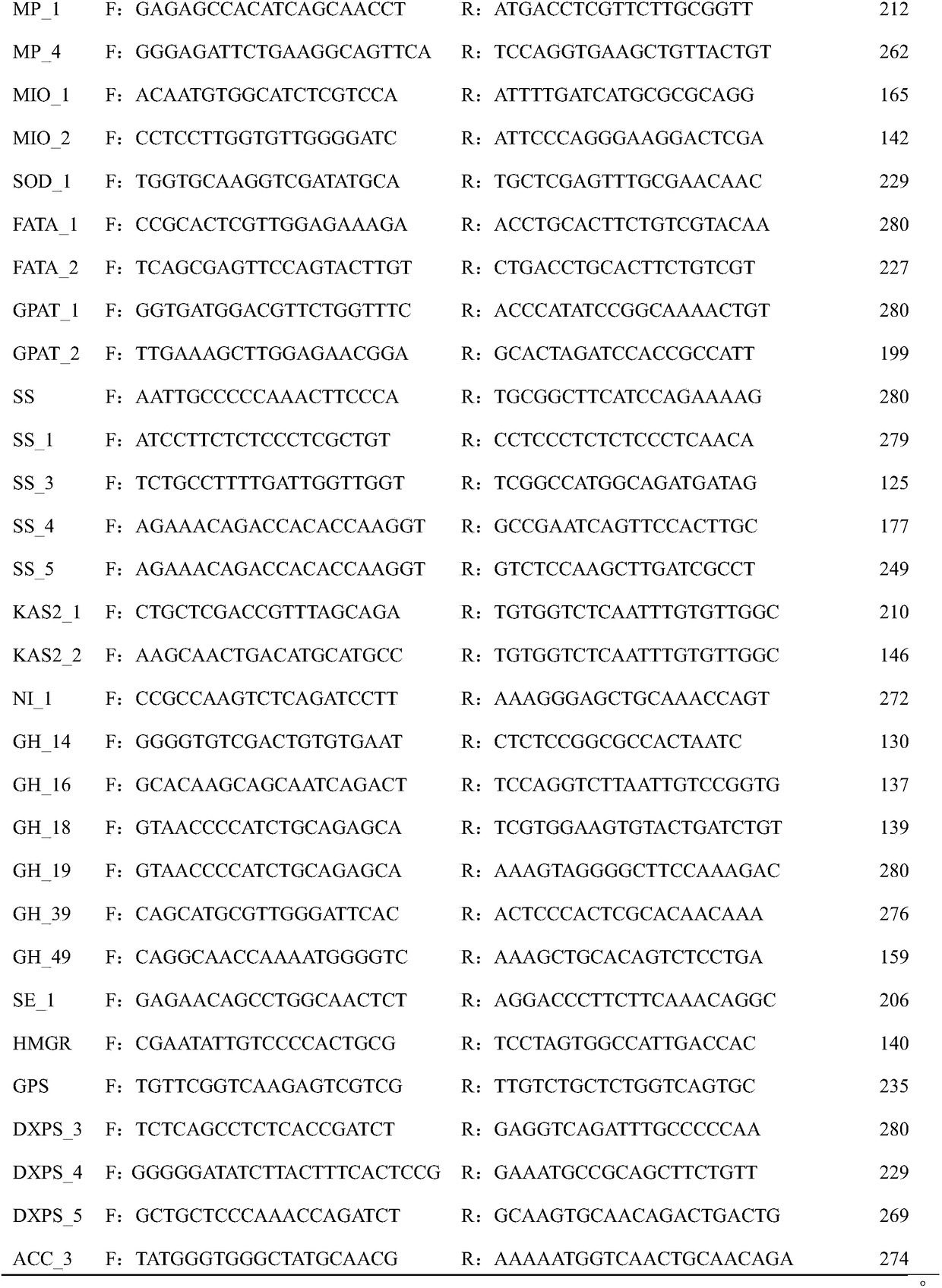 Screening method and application of target gene SSR molecular markers of acanthopanax senticosus