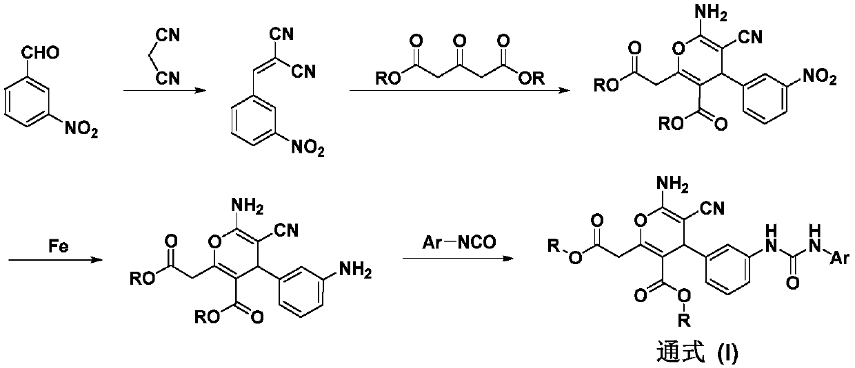 Novel arylurea-containing 4-arylpyran derivative and application thereof