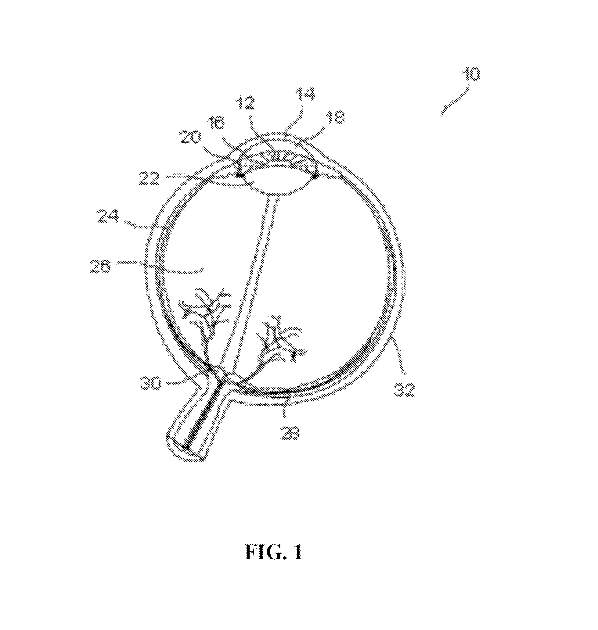 Retinal imaging device