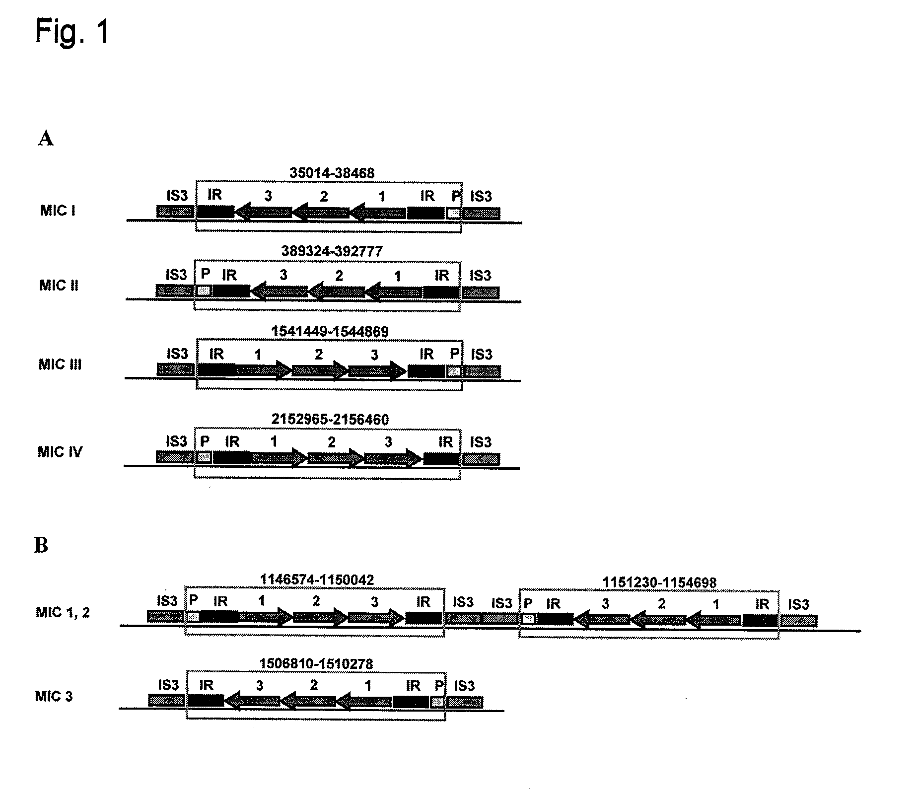 Lantibiotics and uses thereof