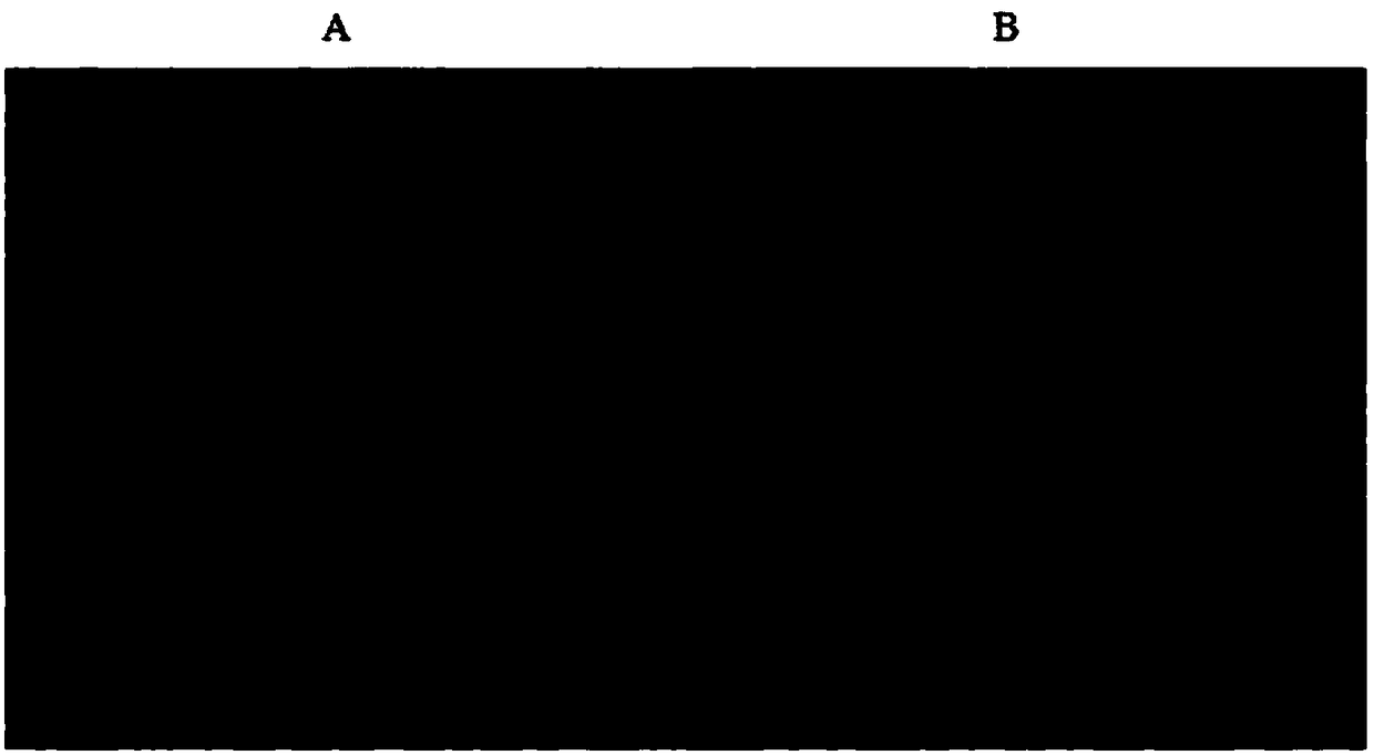 Culture medium for inducing directional differentiation of human embryonic stem cells into liver-like tissue, inducing method and application